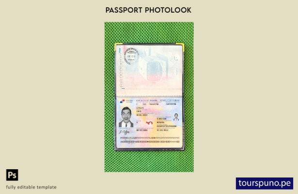 Plantilla de apariencia de foto de pasaporte de Panamá lista para imprimir